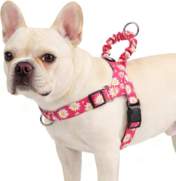 PUPTECK No Pull Dog Harness Small Sized Dog, Adjustable Reflective Pet Vest Harness with Bungee Handle, Escape Proof No Choke Harness for Small Dogs Walking Training, Fuschia Daisy S