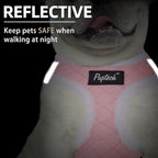 PUPTECK Plush Dog Harness and Leash Set for Small Medium Dogs No Pull Step-in Soft Mesh Puppy Cat Winter Vest Harnesses Reflective at Night Warm, Plush Pink, S