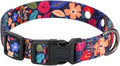 Rhea Rose 1 Inch Replacement Collar Strap Shock Collar with 2 Holes, Compatible with Nearly All Brands and Models of Underground Electric Dog Fences and Training Collars, Black Flowers Pattern