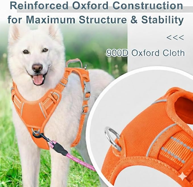 BARKBAY Dog Harness No Pull Oxford with ID Tag Pocket - Heavy Duty, Reflective, Easy Control for Large Dogs(Pumpkin Oxford,L)
