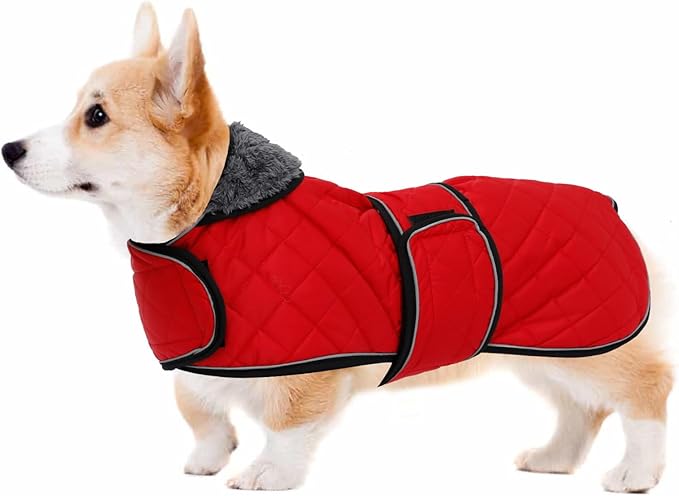 Geyecete Corgi Sweater for Dogs Warm Thermal Quilted Corgi Coat,Dog Winter Coat with Warm Fleece Lining,Outdoor Corgi Clothes Dog Apparel Red-L
