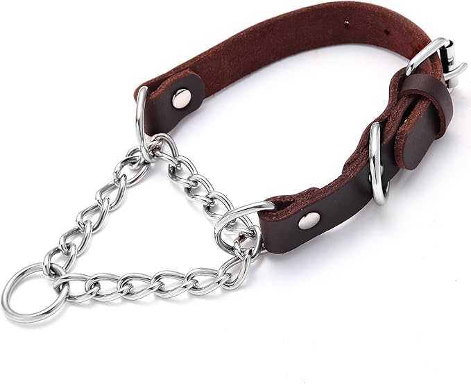 Leather Martingale Dog Collar, Genuine & Stainless Steel Chain Martingale Collar No-Pull Adjustable Anti-Slip Training & Walking Collar for Small Medium Large Breed Dogs Pets. (Small: Neck 10"-16")