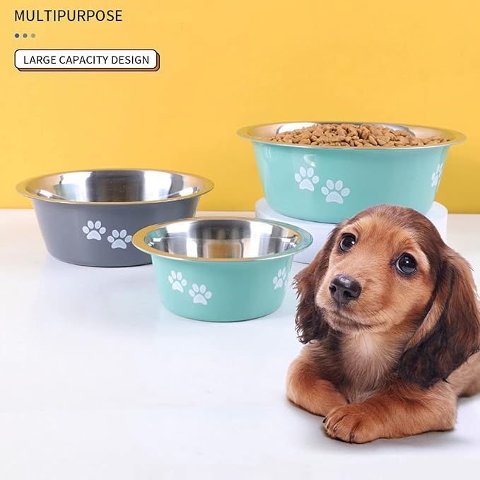 Stainless Steel Dog Bowls 2 Pack Small Medium Dogs Feeding Food Water Bowl with Non-Slip Silicone Sole, Stainless Steel Dog Dishes Elevated Raised Pet Feeder(Green+Grey, M(3.6 Cups)