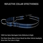 PLUTUS PET Reflective Martingale Collar with Quick Snap Buckle,No Pull Dog Choker Collar for Small Medium Large Dogs,S,Blue