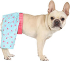 HDE Dog Swim Trunks Hawaiian Board Shorts Beach Pool Swimsuit for XS to XXL Dogs Party Like a Flock Star - XS