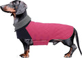 Geyecete Dachshund Coat,Dachshund Winter Coat,Warm Waterproof Windproof, High Neckine String Holes Miniature Dachshund Jacket for Small Dog-Pink-XS