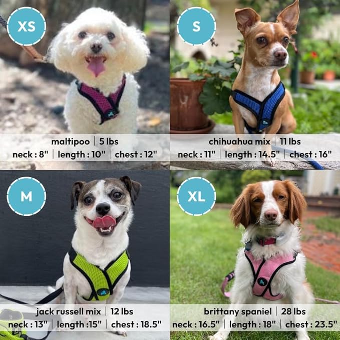Gooby Comfort X Step in Lite Dog Harness - Choke Free, Escape Free with Light Breathable Mesh - Dog Harness for Small and Medium Breeds - Quick Release Buckle, Metal D-Rings - Turquoise, Small