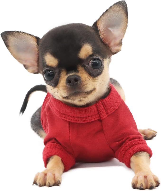 LOPHIPETS 100% Cotton Dog Tee Shirt for Small Dogs Teacup Chihuahua Yorkie Puppy Clothes-Red/XXS