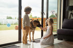 Screen Door Magnets Double Sided – Keep People, Kids, and Dogs from Running into The Screen Door - Robbins Aria Purple Gold