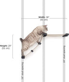 Catastrophic Creations Cat Tree with Hammock Perch – Mounting Wall Cat Shelves w/Canvas Fabric – Bamboo Wood Cat Tree Floating Steps – Lounger & Climber Cat Trees – Modern Cat Furniture
