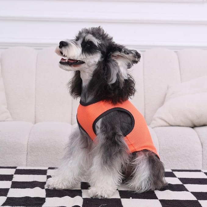 2 Pack Cooling Shirts for Dogs, Lightweight Mesh Breathable Dog Shirt for Small Dogs Boy, Sun-Protection Sleeveless Shirts for Dog&Cat Puppy Vest Pet Apparel P23ST00605L
