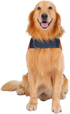 HDE Dog Puffer Jacket Fleece Lined Warm Dog Parka Winter Coat with Harness Hole Navy Retro Stripe - XXL