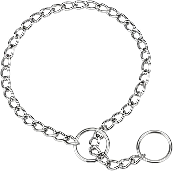 TagME Chain Choke Collar for Dogs, Adjustable Weather Proof Necklace for Small and Puppy Dogs, Alloy Steel Pet Training Collar