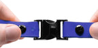 Educator 3/4-Inch Dog Training Collar Strap–ONLY Fits ME-300, ET-300/400, EZ-900, PE-900 & PG-300 Receivers – NOT Compatible with FE-580, ET-800 or UL-1200–Quick Snap Biothane Bungee Collar, Blue