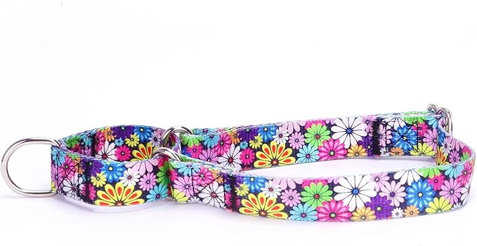 Serijoars Adjustable Martingale Dog Collar Heavy Duty Nylon Dog Collar for Medium Large Dogs Walking Training Boy and Girl Dogs (M, Colourful Daisy)