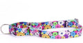 Serijoars Adjustable Martingale Dog Collar Heavy Duty Nylon Dog Collar for Medium Large Dogs Walking Training Boy and Girl Dogs (M, Colourful Daisy)