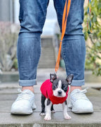 Gooby Stretch Fleece Vest Dog Sweater - Red, Medium - Warm Pullover Super Stretchy Fleece Dog Jacket for Small to Large Dogs