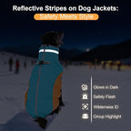 Warm Dog Coats for Medium Dogs, Waterproof Dog Jacket with Harness Built in, Zipper Clousure, Fleece Lining for Cold Weather Outdoor Walks, Snowsuit for Schnauzer, Boston Terrier, Pug - M