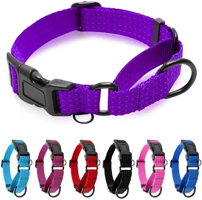Martingale Collar for Dogs, Adjustable Soft Nylon Dog Collars with Special Design Cute Patterns (Purple, M (1" x 15.5"-19.5"))