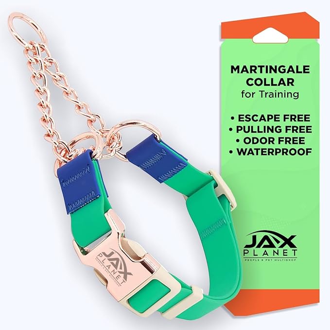 Jelly Waterproof Martingale Dog Collar, No Pull Nylon Collar with Alloy Metal Buckle & D-Ring for Outdoor Training and Walking, Anti Pull, Escape Free, One Time Adjustment - Turquoise & Blue, M