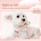 rabbitgoo Dog Harness Small Medium Sized and Leash Set, Step in Soft Light Puppy Vest, Breathable Mesh Pet Harness, Reflective for Safe Outdoor Walking, Pink L