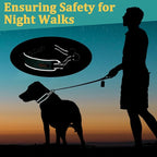 Mayerzon Martingale No Pull Collar for Large Medium Dogs Pitbull German Shepherd Rottweilers, Patented Reflective Anti Pull Dog Walking Collar with Buckle for Training Hiking, Adjustable(L, Cyan)