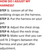 Best Pet Supplies Voyager Step-in Air All Weather Mesh Harness and Reflective Dog 5 ft Leash Combo with Neoprene Handle, for Small, Medium and Large Breed Puppies - Set (Lime Green), XS