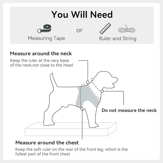 Joytale Small Dog Harness, Breathable Mesh Step-in Vest, Reflective Soft Padded Harnesses for Cats and Puppies Dogs, Gray, XXXS