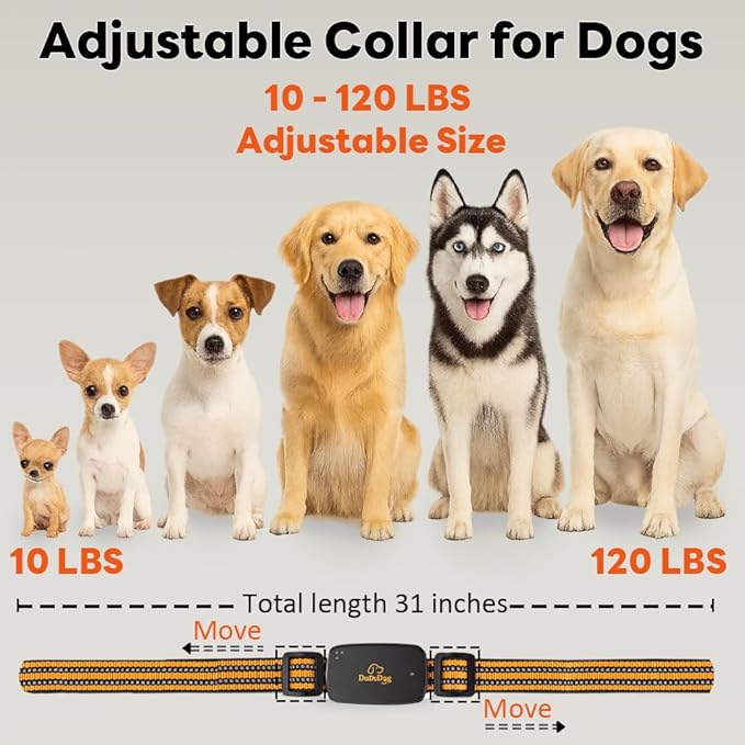 Adjustable Shock Levels Dog Training Collar with 9.8 FT Retractable Leash – Remote E-Collar for 2 Dogs, 3200 FT Range, Color Screen, Beep Vibration Static, IP67 Waterproof, USB-C Rechargeable