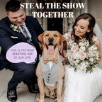 AVERYDAY Dog Tuxedo for Wedding Outfit, Dog Suit and Tie Costumes for Birthday, Halloween, Cosplay, Christmas Party, Pet Formal Wear with Bowtie, Tux for Medium Large Dogs, Bulldog, Labrador, Husky