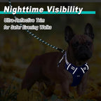 BARKBAY Dog Harness No Pull Mesh for Small Dogs - Adjustable, Reflective, Comfortable, No Choke, Heavy-Duty - Perfect for Outdoor Training, Walking, and Hiking-Strong&Durable- S & Sapphire Blue Mesh