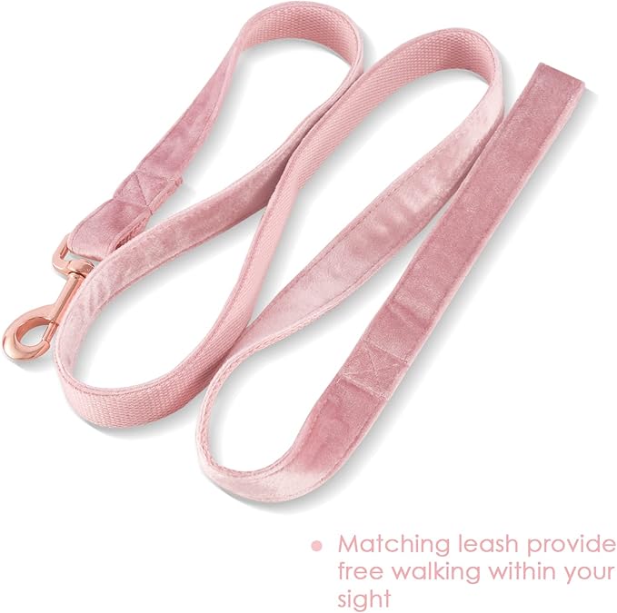 Bubblepup Velvet Dog Collar and Leash Set, Dog Collars for Small Medium Large Dogs Leash for Training & Walking