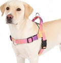 PUPTECK No Pull Dog Harness Small Sized Dog, Adjustable Reflective Pet Vest Harness with Bungee Handle, Escape Proof No Choke Harness for Small Dogs Walking Training, Pink & Purple L