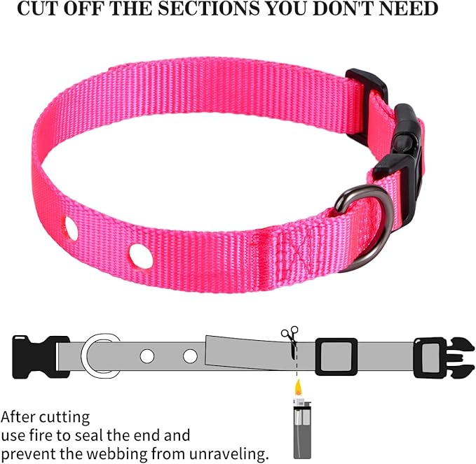 3/4 Inch Dog Shock Collar Replacement Strap with 2 Holes - Compatible with Most Brands of Ecollar Dog Fences and Training Collars, Pink, Medium