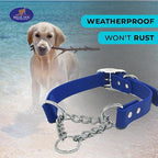 Regal Dog Products Martingale Collar for Dogs - Waterproof Biothane Collar for Small, Medium, Large Dogs - Limited Cinch Heavy Duty Chain for No Pull Dog Walking and Pet Training (Large, Orange)
