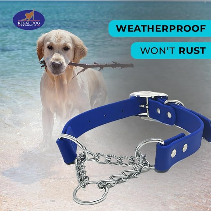 Regal Dog Products Martingale Collar for Dogs - Waterproof Biothane Collar for Small, Medium, Large Dogs - Limited Cinch Heavy Duty Chain for No Pull Dog Walking and Pet Training (Large, Blue)