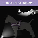 Didog No Pull Dog Harness with Soft Padded, Easy Walk Dog Harness with Quick Release Buckle, Adjustable & Reflective Pet Harness with Soft Padded for Small Medium Dogs (S:Chest 19-22", Purple)