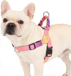 PUPTECK No Pull Dog Harness Small Sized Dog, Adjustable Reflective Pet Vest Harness with Bungee Handle, Escape Proof No Choke Harness for Small Dogs Walking Training, Pink & Purple S