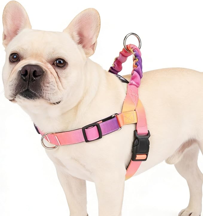 PUPTECK No Pull Dog Harness Small Sized Dog, Adjustable Reflective Pet Vest Harness with Bungee Handle, Escape Proof No Choke Harness for Small Dogs Walking Training, Pink & Purple S