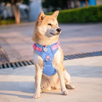 PHOEPET No Pull Dog Harness, Unique Colors Reflective Adjustable Dog Vest, with Soft Training Handle Metal Clips for Small Medium Large Dogs (Baby Blue Base & Pink Straps,M)