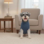 Small Dog Sweater, Soft Knit Dog Clothes for Spring Transition, Lightweight Puppy Outfit for Pomeranian, Yorkie, Chihuahua; Stylish Doggy Apparel for Spring Morning Walks (Dark Blue, M)