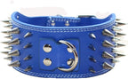 Studded Dog Collar, 3" Sharp Spiked Leather Dog Collar fit Training,Sports,Walking,Medium,Large,X-Large,for Pitbull,Labrador,Boxer (M:17-20 inch, Blue)