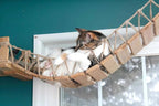 CatastrophiCreations Cat Bridge Wall-Mounted Play and Lounge Toy Cat Tree Tower Alternative for Pets, 1 Count (Pack of 1)