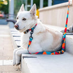 Wolfgang Heavy Duty Dog Leash, Pull-Tested to Over 800 lbs for Walking & Training, ShatterShapes Print, Dual-Handle Large