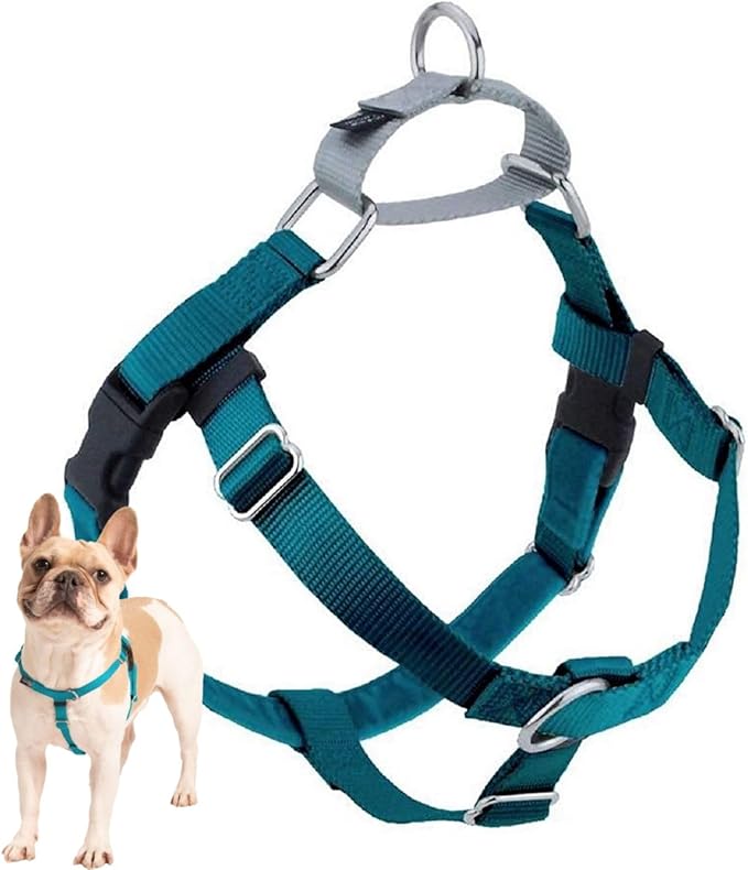 2 Hounds Design Freedom No Pull Dog Harness, Adjustable Harness, Easy Walking & Comfortable Control, Fits Small, Medium & Large Dogs, Solid Colors, Made in USA, 1" MD, Teal