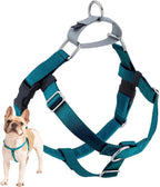 2 Hounds Design Freedom No Pull Dog Harness, Adjustable Harness, Easy Walking & Comfortable Control, Fits Small, Medium & Large Dogs, Solid Colors, Made in USA, 1" LG, Teal