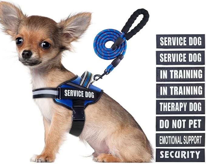 Service Dog Vest Harness and Leash Set, Animire in Training Dog Harness with 10 Dog Patches, Reflective Dog Leash with Soft Padded Handle for Small, Medium, Large, and Extra-Large Dogs (Blue,S)