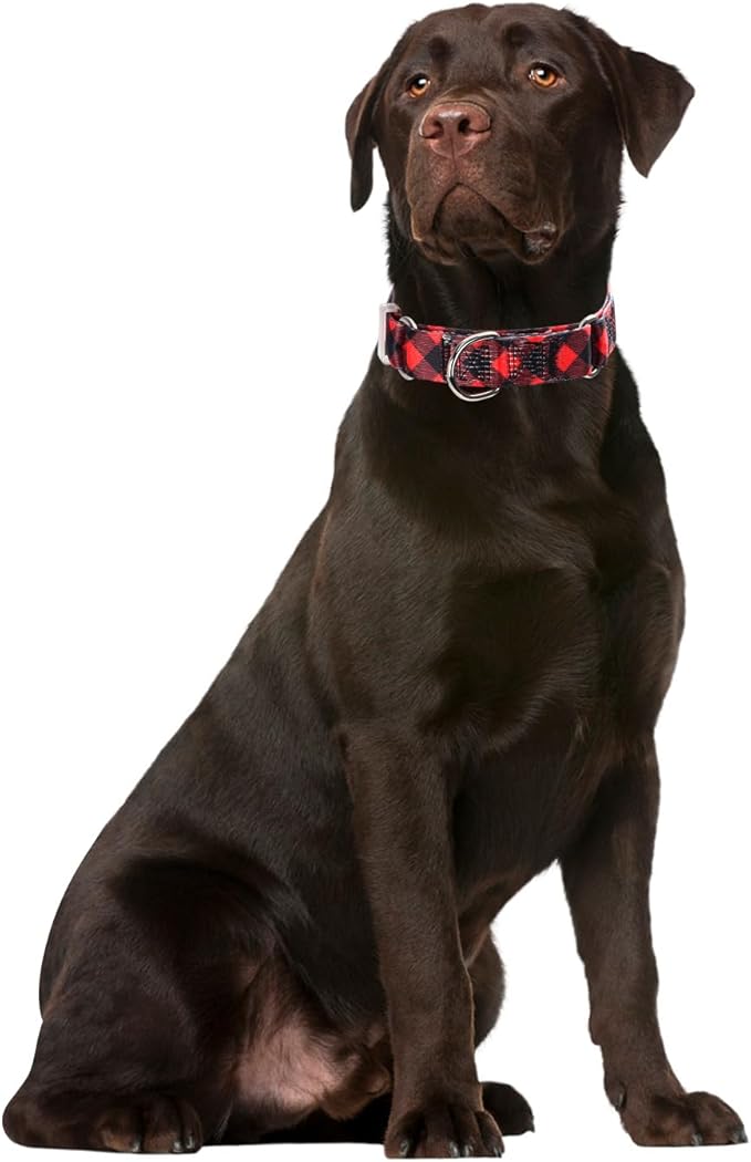Red Plaid Print Martingale Collar, No-Slip Escape Proof Choke No Pull Soft Nylon Training Dog Collars for Small Medium Large Breed Pet Dogs, L