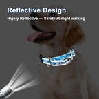 Reflective Martingale Collar with Quick Release Buckle Anti Pulling Boy Male Adjustable Dog Collars (Blue Waves, XSmall)