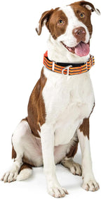 Martingale Collar for Dogs -Reflective Nylon No Slip Choke with Padded Comfort Heavy Duty Dog Collar with Quick Release Buckle for Training, Walking & Overexcited Pulling Orange M